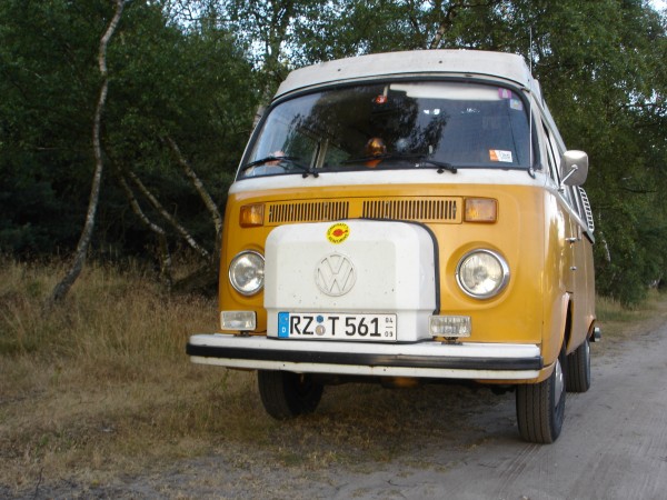 Bulli in der Lüneburger Heide